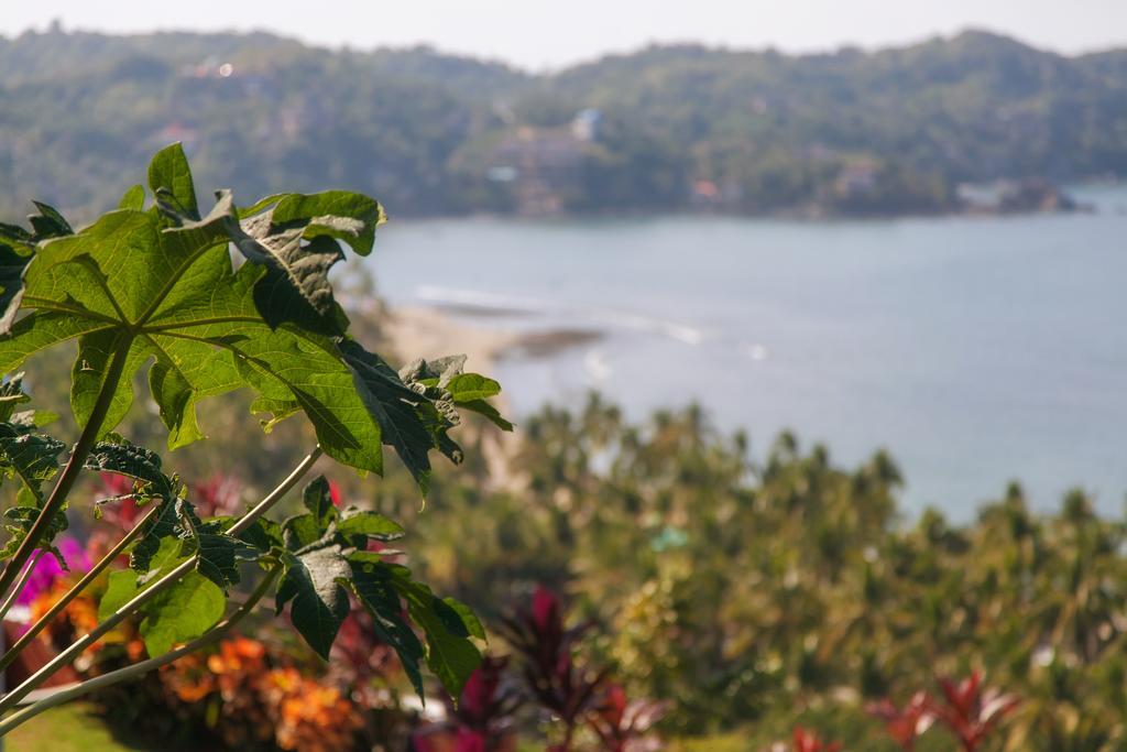 Casa Los Arcos Hotel Sayulita Luaran gambar